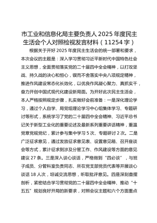 市工业和信息化局主要负责人2025年度民主生活会个人对照检视发言材料（11254字）