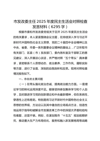 市发改委主任2025年度民主生活会对照检查发言材料（6295字）