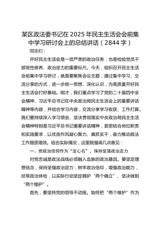 某区政法委书记在2025年民主生活会会前集中学习研讨会上的总结讲话（2844字）