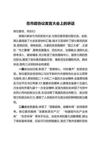 在市政协议发言大会上的讲话