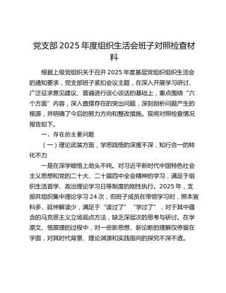 党支部2025年度组织生活会班子对照检查材料