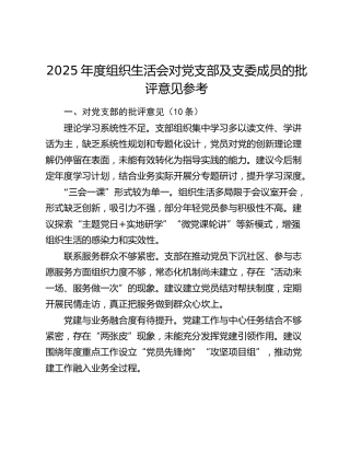 2025年度组织生活会对党支部及支委成员的批评意见参考
