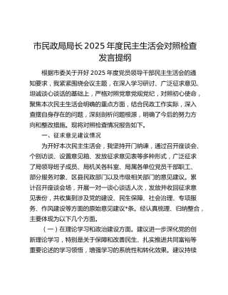 市民政局局长2025年度民主生活会对照检查发言提纲