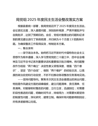 局党组2025年度民主生活会整改落实方案 (2)