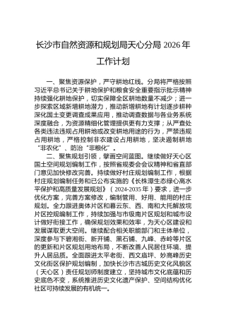 长沙市自然资源和规划局天心分局2026年工作计划