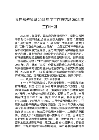 县自然资源局2025年度工作总结及2026年工作计划