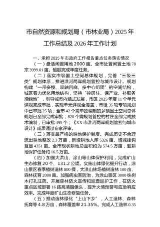 市自然资源和规划局（市林业局）2025年工作总结及2026年工作计划