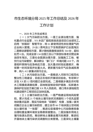 市生态环境分局2025年工作总结及2026年工作计划