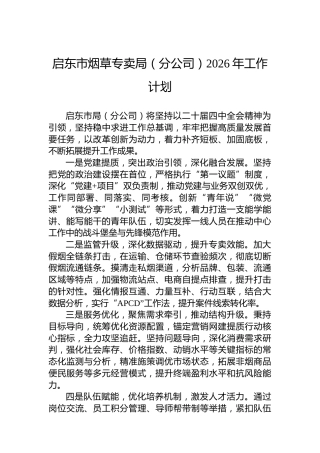 启东市烟草专卖局（分公司）2026年工作计划