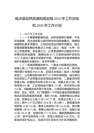 临沭县自然资源和规划局2025年工作总结和2026年工作计划