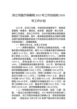 洪江市医疗保障局2025年工作总结和2026年工作计划
