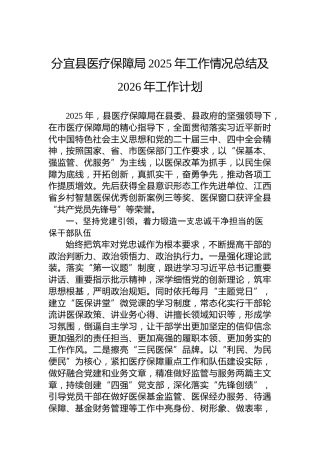 分宜县医疗保障局2025年工作情况总结及2026年工作计划
