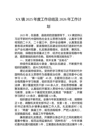 XX镇2025年度工作总结及2026年工作计划