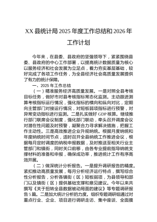 XX县统计局2025年度工作总结和2026年工作计划