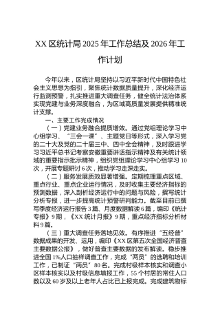 XX区统计局2025年工作总结及2026年工作计划