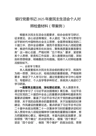 银行党委书记2025年度民主生活会个人对照检查材料（带案例）