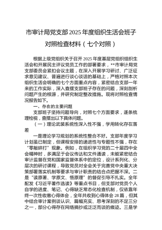 市审计局党支部2025年度组织生活会班子对照检查材料（七个对照）
