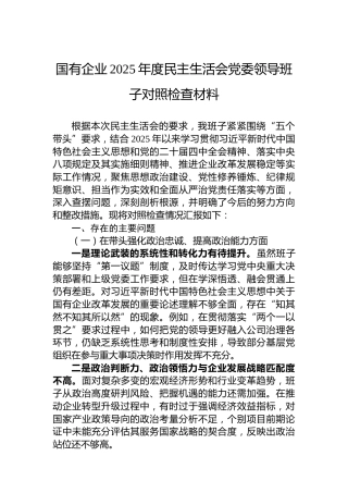 国有企业2025年度民主生活会党委领导班子对照检查材料