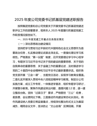 2025年度公司党委书记抓基层党建述职报告