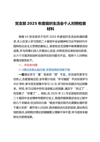 党支部2025年度组织生活会个人对照检查材料