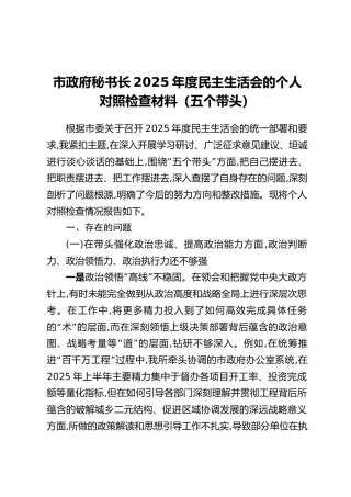 市政府秘书长2025年度民主生活会的个人对照检查材料（五个带头）