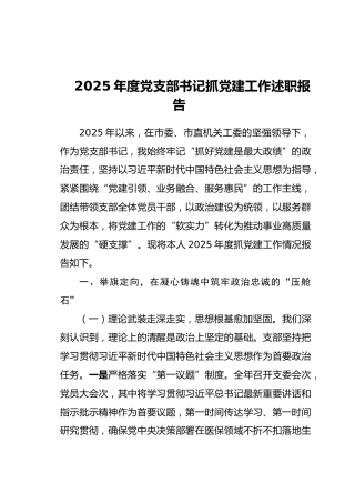 2025年度党支部书记抓党建工作述职报告（2）