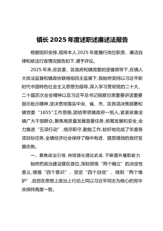 镇长2025年度述职述廉述法报告