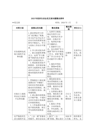 2025年组织生活会党支部问题整改清单