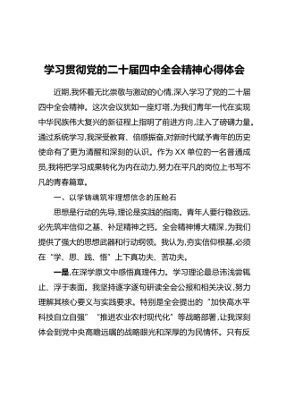 学习贯彻党的二十届四中全会精神心得体会_2