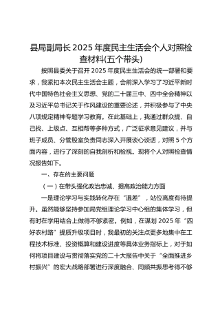 县局副局长2025年度民主生活会对照检查材料(五个带头)