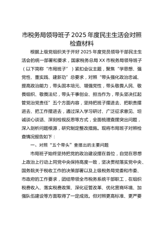 市税务局领导班子2025年度民主生活会对照检查材料