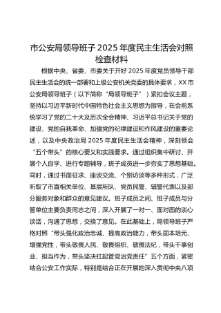 市公安局领导班子2025年度民主生活会对照检查材料