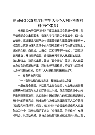 副局长2025年度民主生活会个人对照检查材料(五个带头)