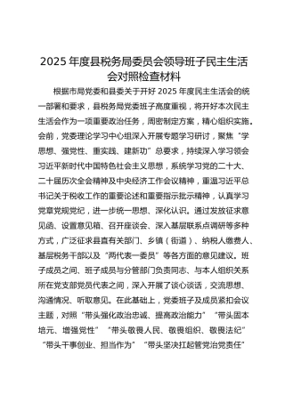 2025年度县税务局委员会领导班子民主生活会对照检查材料