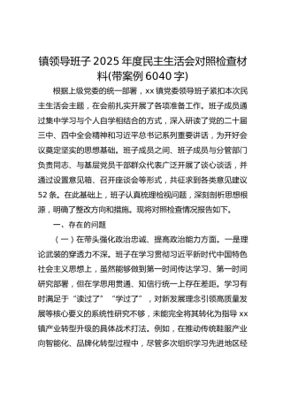 镇领导班子2025年度民主生活会对照检查材料(带案例 6040字)