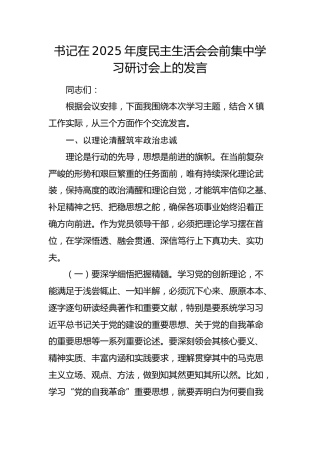 在2025年度民主生活会会前集中学习研讨会上的发言2（乡镇）