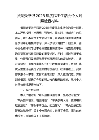 乡党委书记2025年度民主生活会个人对照检查材料 (2)