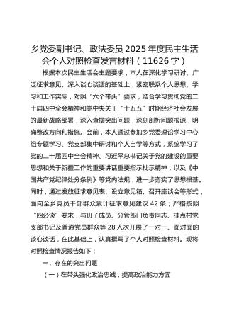乡党委副书记、政法委员2025年度民主生活会个人对照检查发言材料（11626字）