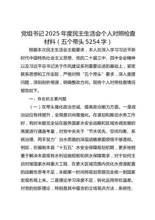 党组书记2025年度民主生活会个人对照检查材料（五个带头 5254字）