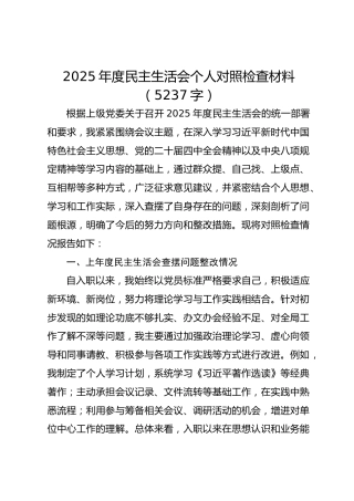 2025年度民主生活会个人对照检查材料（5237字）