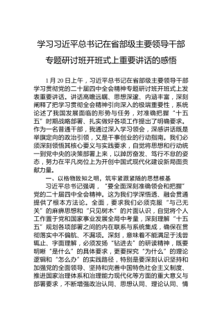 学习习近平总书记在省部级主要领导干部专题研讨班开班式上重要讲话的感悟