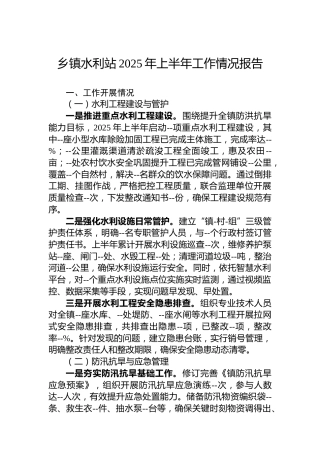 乡镇水利站2025年上半年工作情况报告