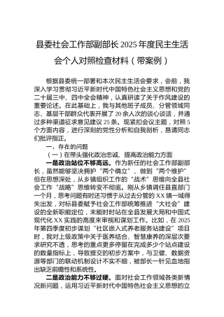 县委社会工作部副部长2025年度民主生活会个人对照检查材料（带案例）