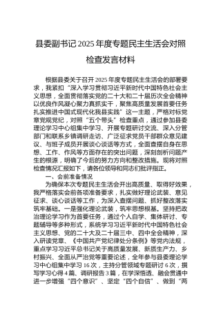 县委副书记2025年度专题民主生活会对照检查发言材料