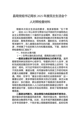 县局党组书记局长2025年度民主生活会个人对照检查材料