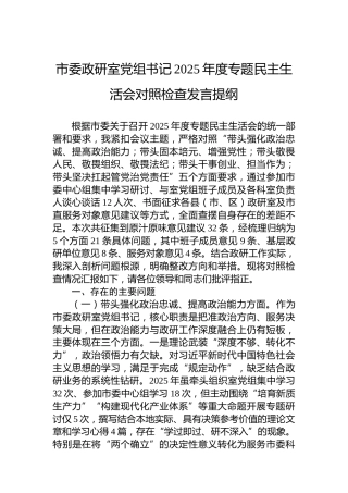 市委政研室党组书记2025年度专题民主生活会对照检查发言提纲