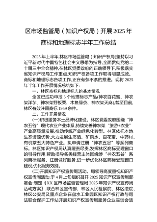 区市场监管局（知识产权局）开展2025年商标和地理标志半年工作总结