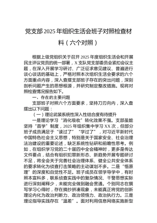 党支部2025年组织生活会班子对照检查材料（六个对照）