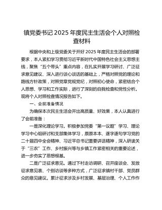 镇党委书记2025年度民主生活会个人对照检查材料