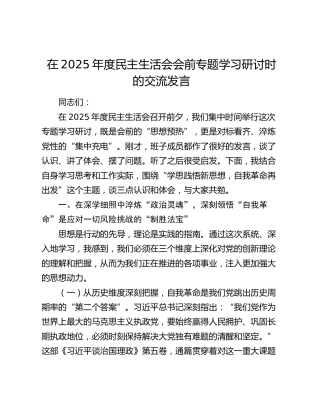 在2025年度民主生活会会前专题学习研讨时的交流发言